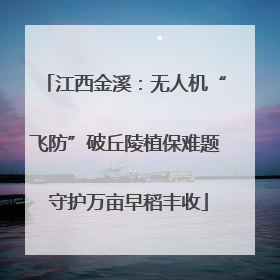 江西金溪：无人机“飞防”破丘陵植保难题 守护万亩早稻丰收