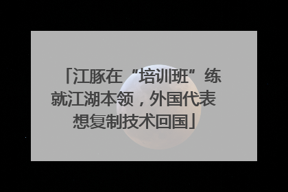 江豚在“培训班”练就江湖本领，外国代表想复制技术回国