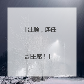 汪顺，连任副主席！