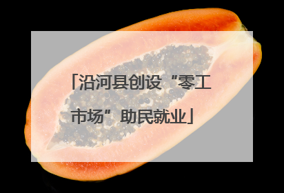 沿河县创设“零工市场”助民就业