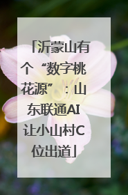 沂蒙山有个“数字桃花源”：山东联通AI让小山村C位出道