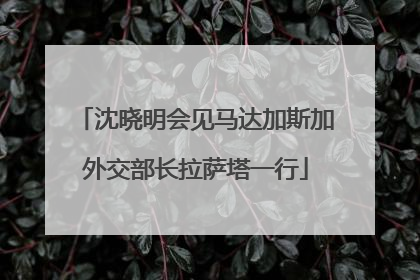 沈晓明会见马达加斯加外交部长拉萨塔一行