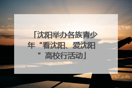 沈阳举办各族青少年“看沈阳、爱沈阳”高校行活动