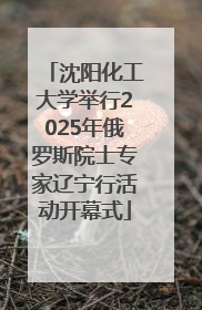 沈阳化工大学举行2025年俄罗斯院士专家辽宁行活动开幕式