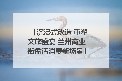沉浸式改造 重塑文旅盛宴 兰州商业街盘活消费新场景