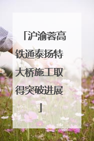 沪渝蓉高铁通泰扬特大桥施工取得突破进展