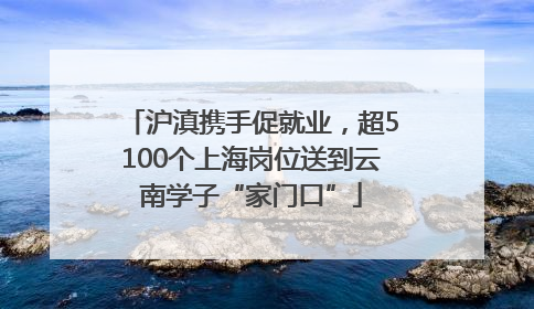 沪滇携手促就业，超5100个上海岗位送到云南学子“家门口”