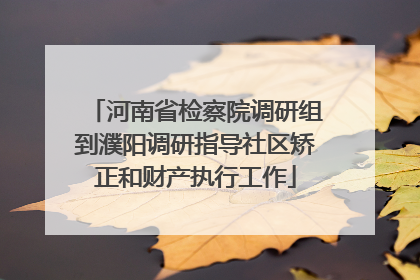 河南省检察院调研组到濮阳调研指导社区矫正和财产执行工作