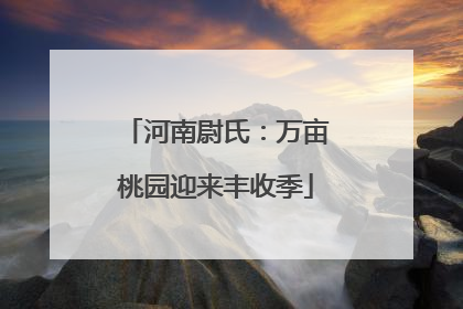 河南尉氏：万亩桃园迎来丰收季