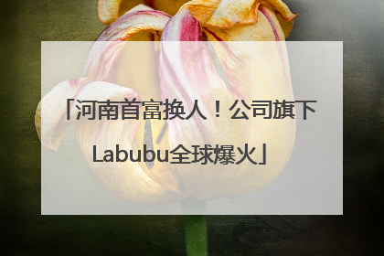 河南首富换人！公司旗下Labubu全球爆火