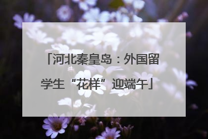 河北秦皇岛：外国留学生“花样”迎端午