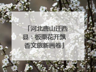 河北唐山迁西县：板栗花开飘香文旅新画卷