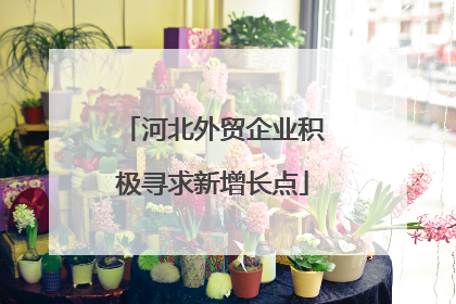 河北外贸企业积极寻求新增长点