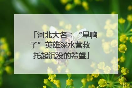 河北大名：“旱鸭子”英雄深水营救 托起沉没的希望