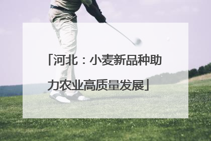 河北：小麦新品种助力农业高质量发展