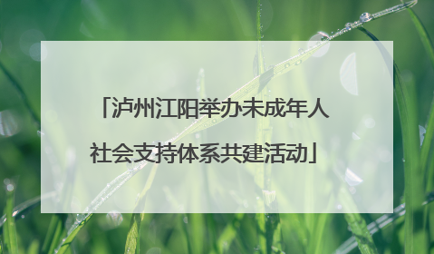 泸州江阳举办未成年人社会支持体系共建活动