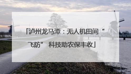 泸州龙马潭：无人机田间“飞防” 科技助农保丰收