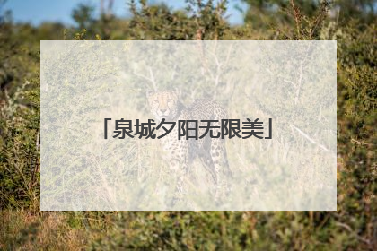 泉城夕阳无限美