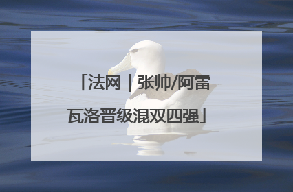 法网｜张帅/阿雷瓦洛晋级混双四强