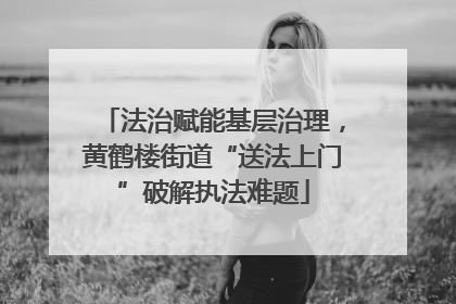 法治赋能基层治理，黄鹤楼街道“送法上门”破解执法难题