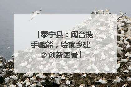 泰宁县：闽台携手赋能，绘就乡建乡创新图景