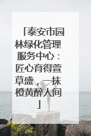 泰安市园林绿化管理服务中心：匠心育得萱草盛，一抹橙黄醉人间
