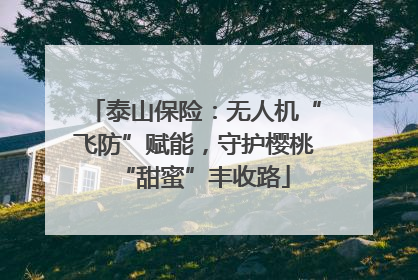 泰山保险：无人机“飞防”赋能，守护樱桃“甜蜜”丰收路