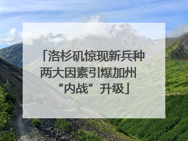 洛杉矶惊现新兵种 两大因素引爆加州“内战”升级