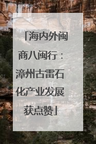 海内外闽商八闽行：漳州古雷石化产业发展获点赞