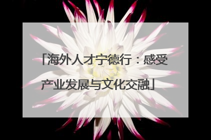 海外人才宁德行：感受产业发展与文化交融