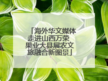 海外华文媒体走进山西万荣 果业大县展农文旅融合新图景