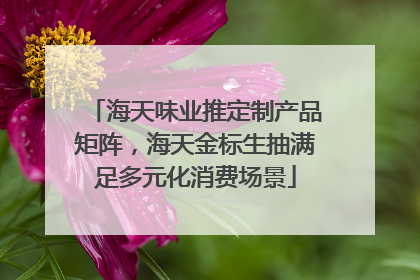 海天味业推定制产品矩阵，海天金标生抽满足多元化消费场景