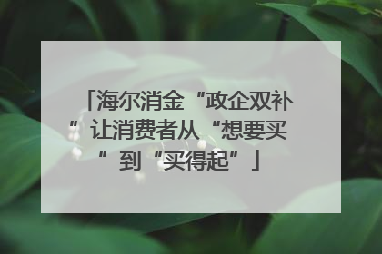 海尔消金“政企双补”让消费者从“想要买”到“买得起”