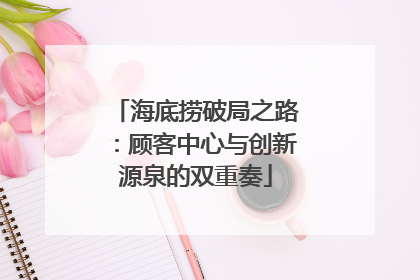 海底捞破局之路：顾客中心与创新源泉的双重奏