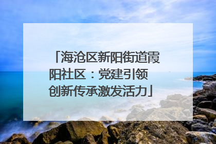 海沧区新阳街道霞阳社区：党建引领 创新传承激发活力
