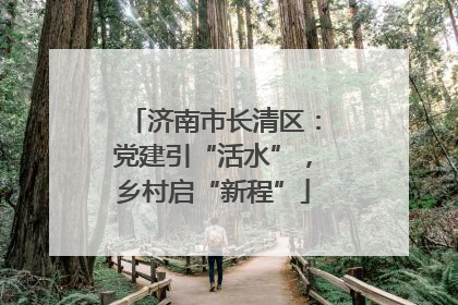 济南市长清区：党建引“活水”，乡村启“新程”