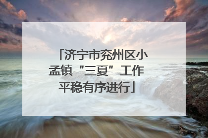 济宁市兖州区小孟镇“三夏”工作平稳有序进行