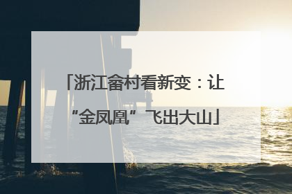 浙江畲村看新变：让“金凤凰”飞出大山