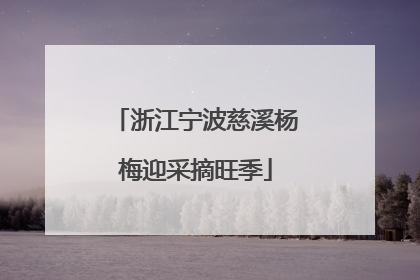 浙江宁波慈溪杨梅迎采摘旺季