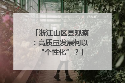 浙江山区县观察：高质量发展何以“个性化”？