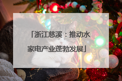 浙江慈溪：推动水家电产业蓬勃发展