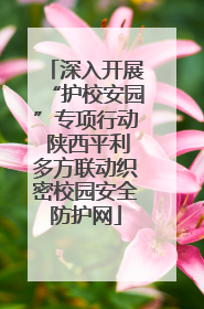 深入开展“护校安园”专项行动 陕西平利多方联动织密校园安全防护网