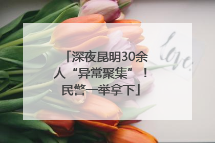 深夜昆明30余人“异常聚集”！民警一举拿下
