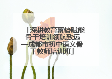 深耕教育聚势赋能 骨干培训领航致远—成都市初中语文骨干教师培训班