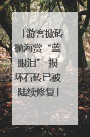 游客掀砖抛海赏“蓝眼泪” 损坏石砖已被陆续修复