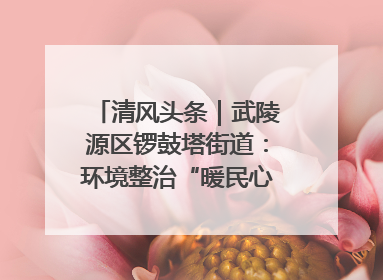 清风头条｜武陵源区锣鼓塔街道：环境整治“暖民心” 辖区面貌“靓”起来