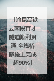 渝昆高铁云南段育才隧道顺利贯通 全线桥隧施工完成超90%
