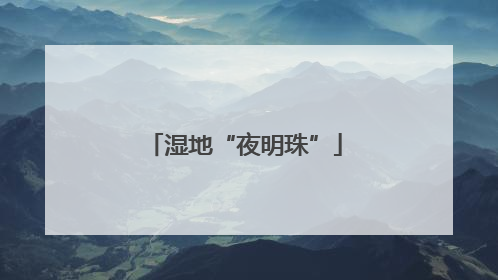 湿地“夜明珠”