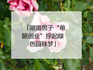 湖南男子“单腿创业”撑起绿色园林梦