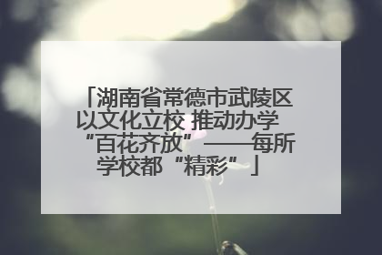 湖南省常德市武陵区以文化立校 推动办学“百花齐放”——每所学校都“精彩”
